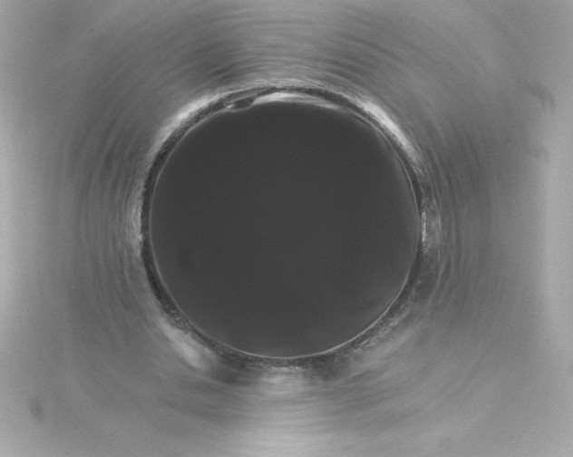 X0000115270438200911271949