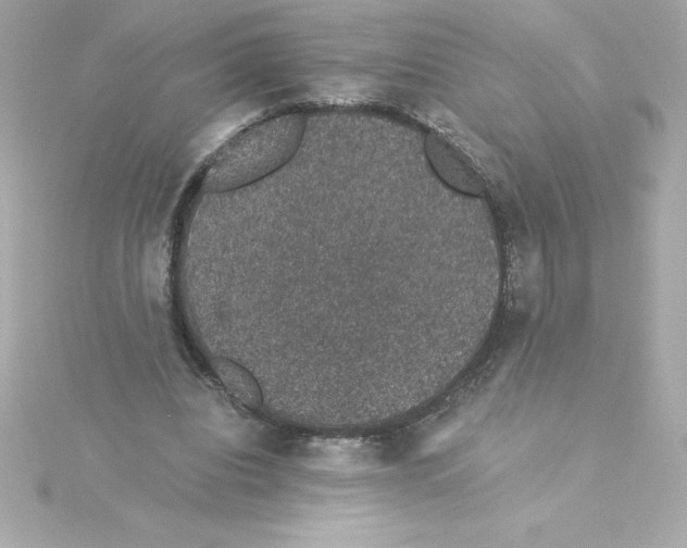 X0000115270440200911271949