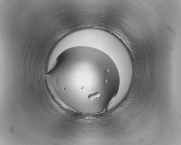 X0000115270441200911271949