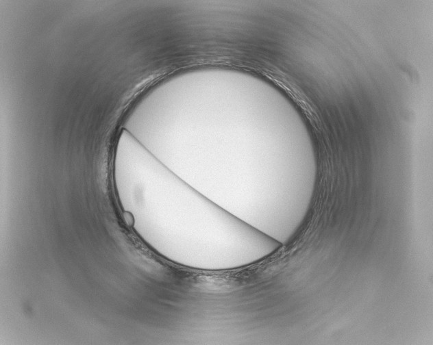 X0000115270442200911271949