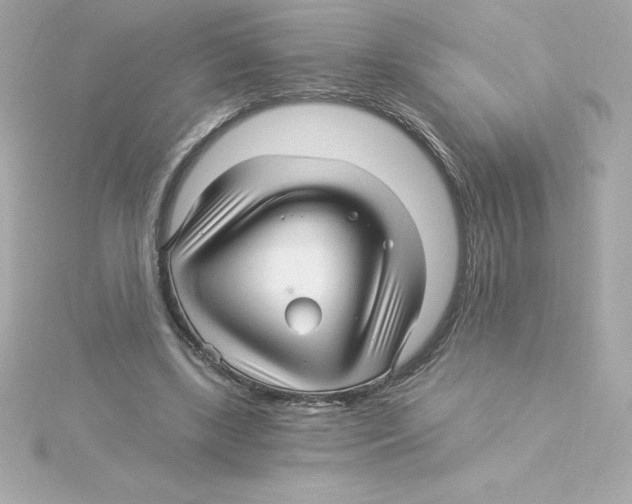 X0000115270443200911271949