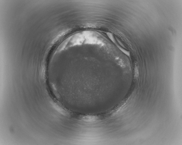 X0000115270444200911271949