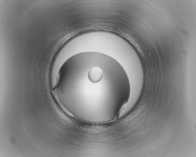 X0000115270445200911271949