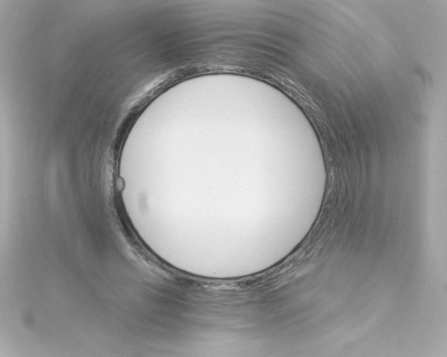 X0000115270446200911271949