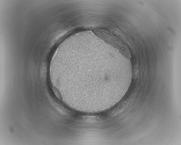 X0000115270448200911271949