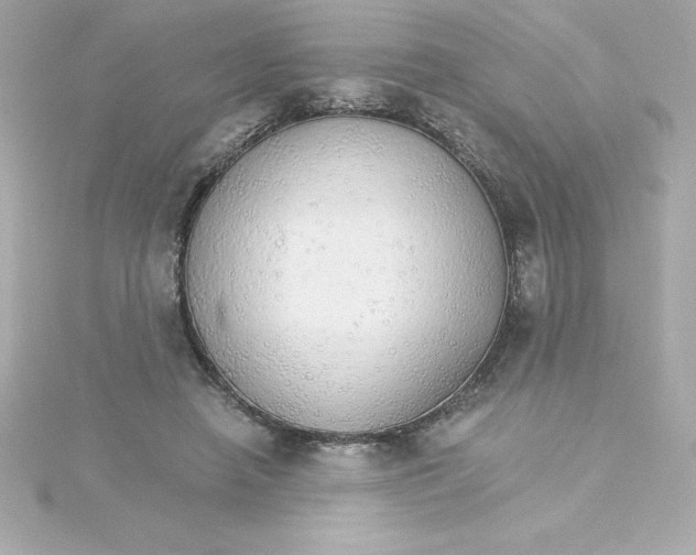 X0000115270450200911271949