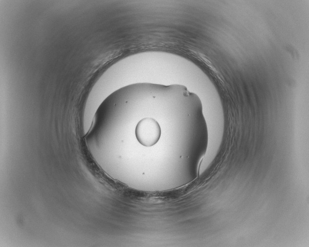 X0000115270451200911271949