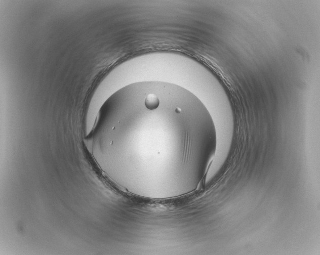 X0000115270453200911271949