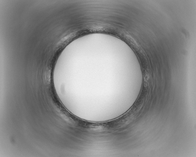 X0000115270454200911271949