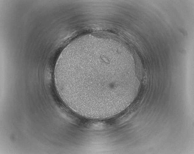 X0000115270456200911271949