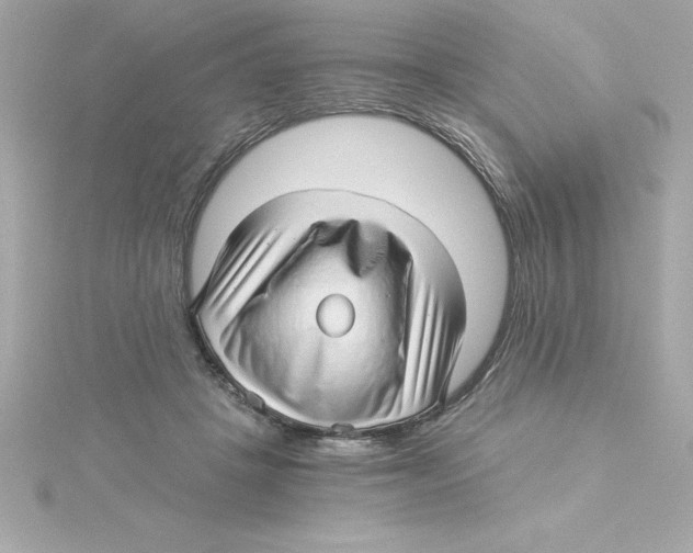 X0000115270457200911271949