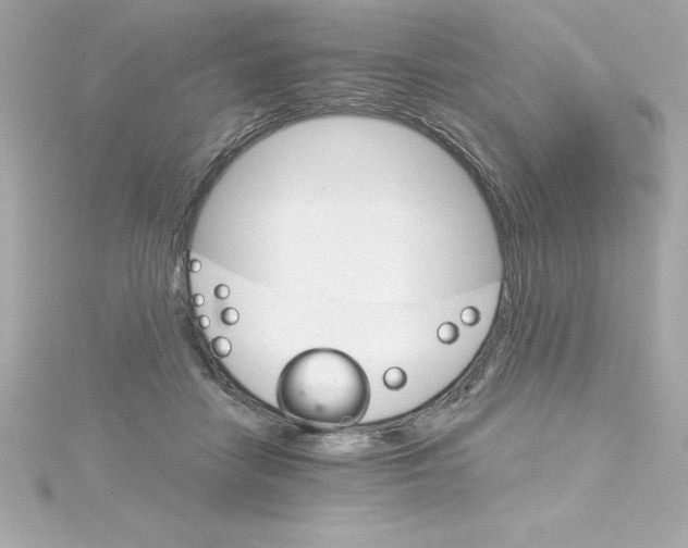 X0000115270458200911271949