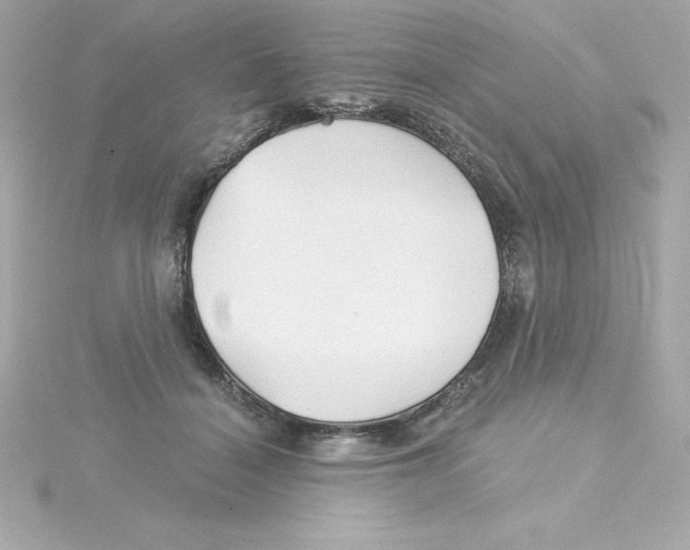 X0000115270460200911271949