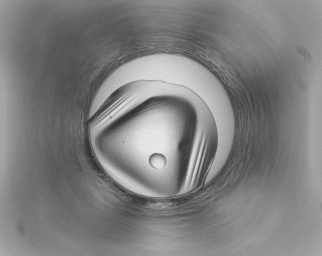 X0000115270461200911271949