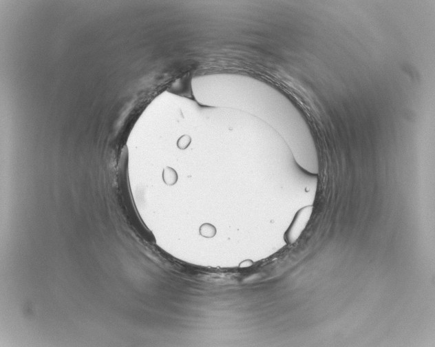 X0000115270465200911271949