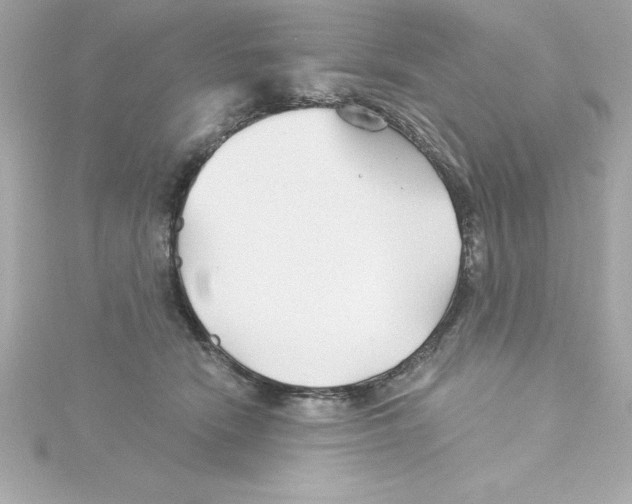 X0000115270466200911271949