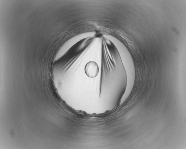 X0000115270467200911271949