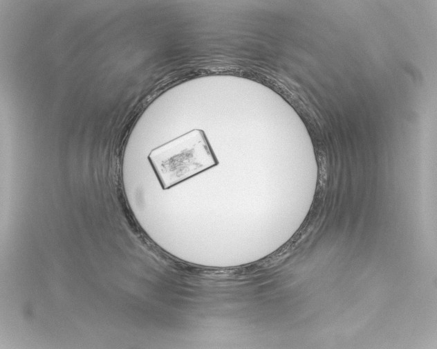 X0000115270470200911271949