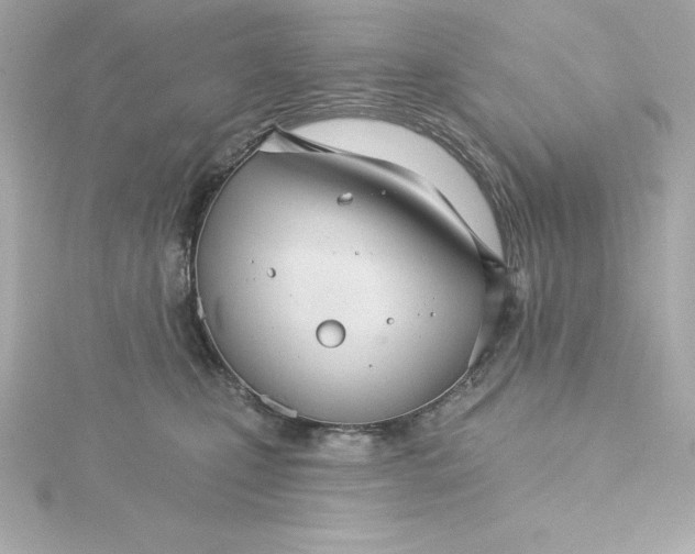 X0000115270471200911271949