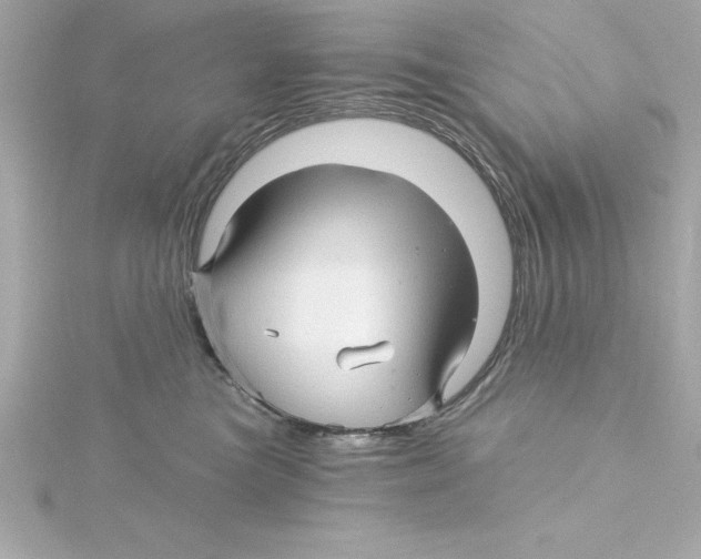 X0000115270473200911271949