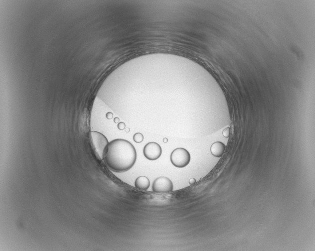 X0000115270474200911271949