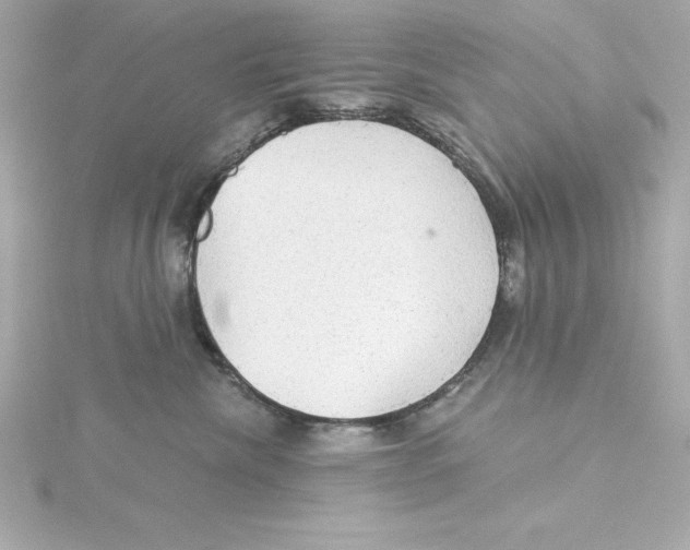 X0000115270476200911271949