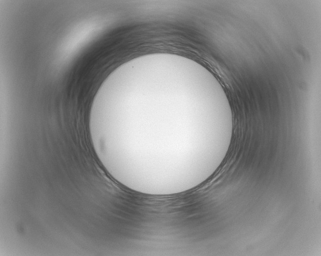 X0000115270477200911271949