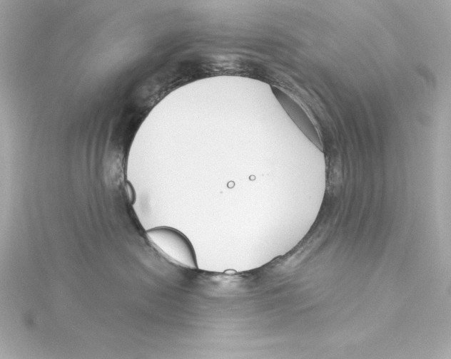 X0000115270478200911271949