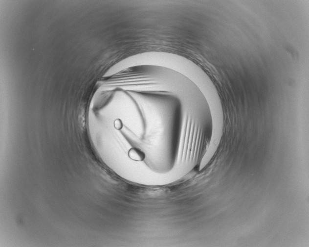 X0000115270479200911271949