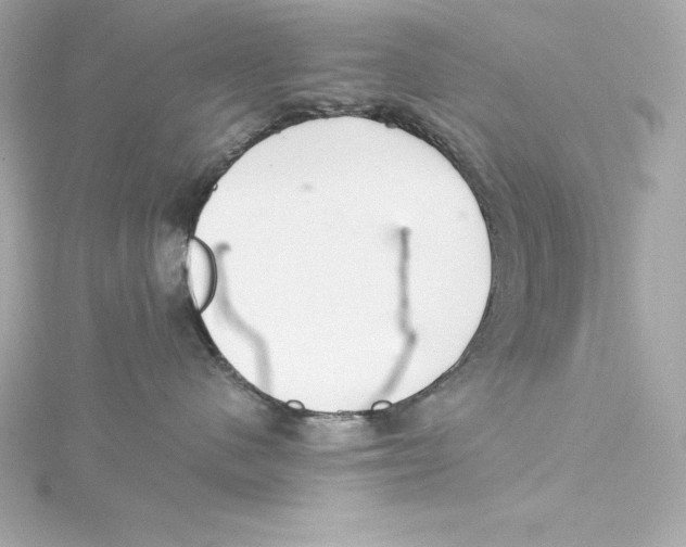 X0000115270480200911271949