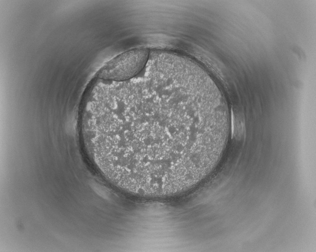 X0000115270483200911271949