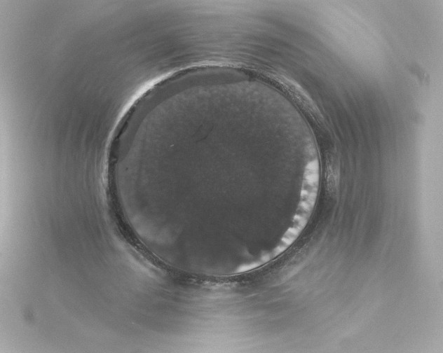 X0000115270484200911271949