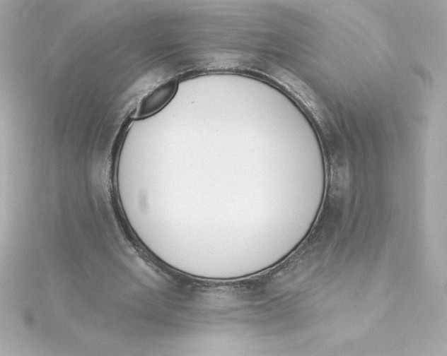 X0000115270485200911271949