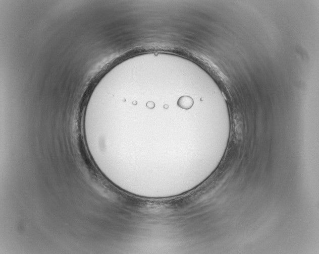 X0000115270487200911271948