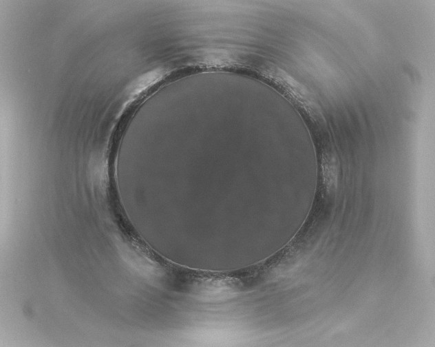 X0000115270488200911271948