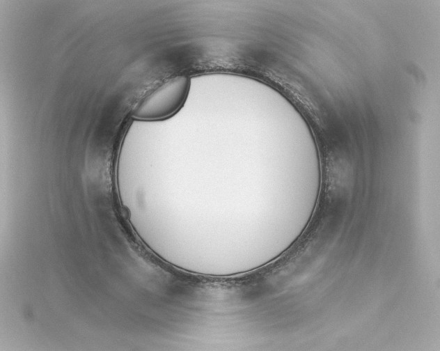 X0000115270489200911271948