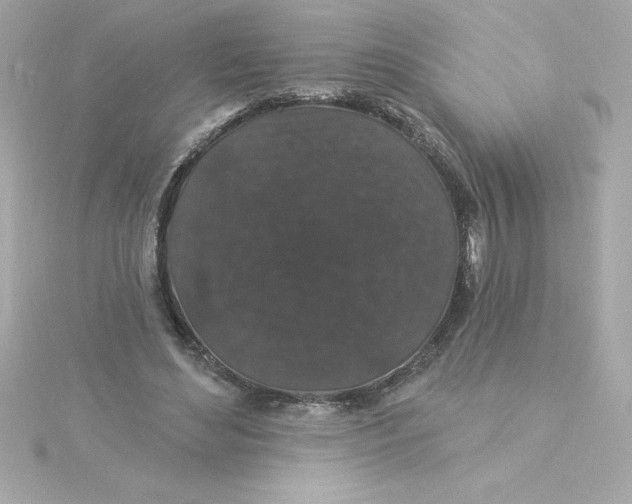 X0000115270492200911271948