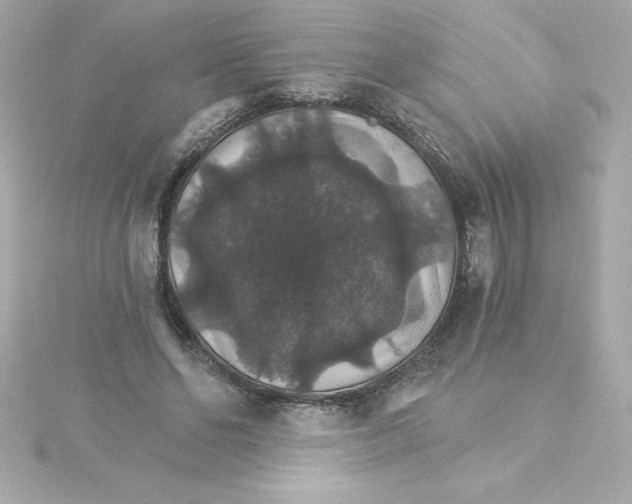 X0000115270494200911271948