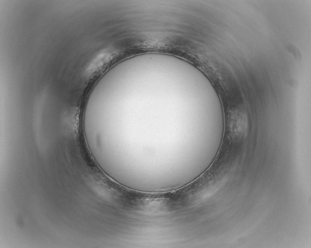 X0000115270495200911271948