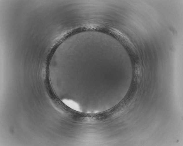 X0000115270496200911271948