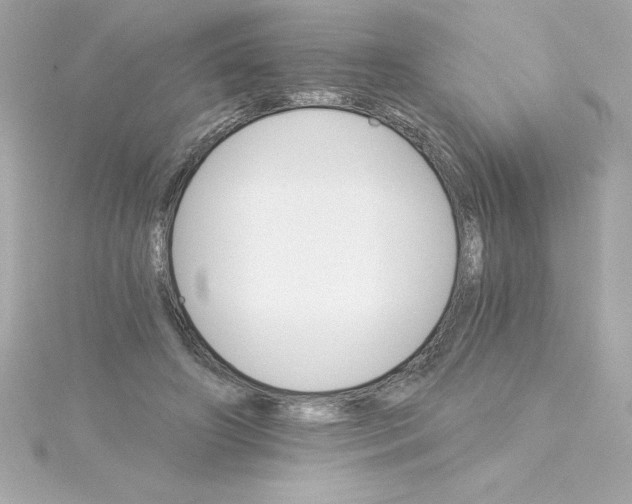 X0000115270498200911271948