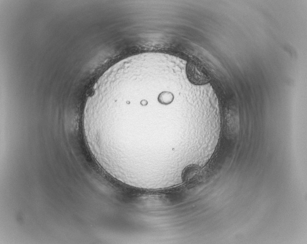 X0000115270499200911271948