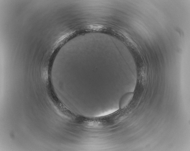 X0000115270500200911271948