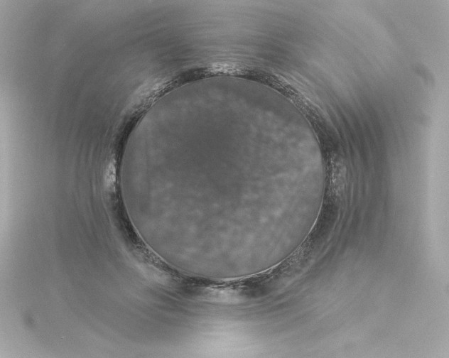 X0000115270502200911271948