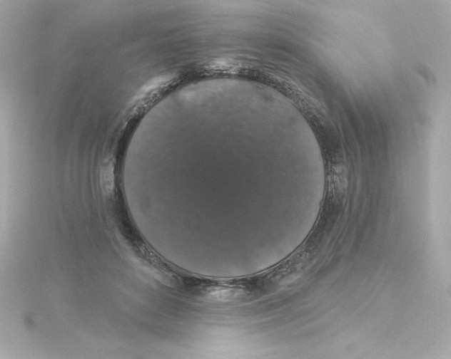 X0000115270504200911271948