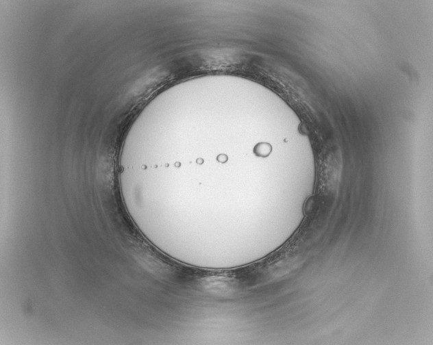 X0000115270505200911271948