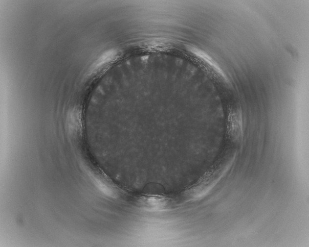 X0000115270506200911271948