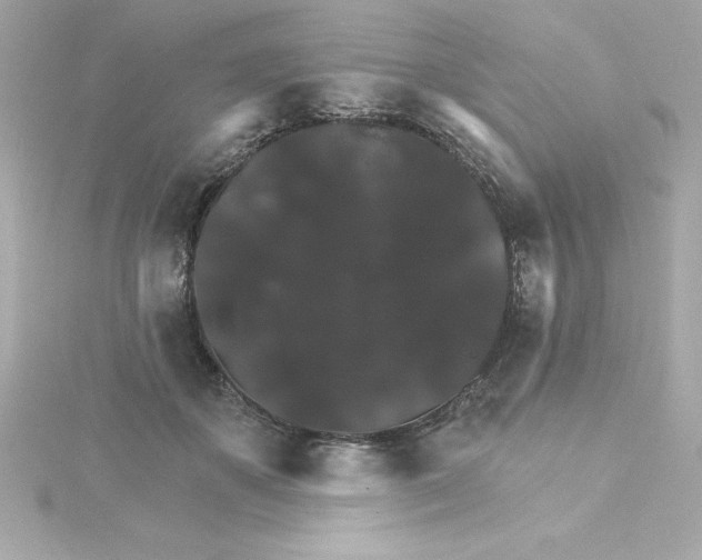 X0000115270507200911271948