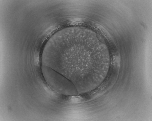 X0000115270508200911271948