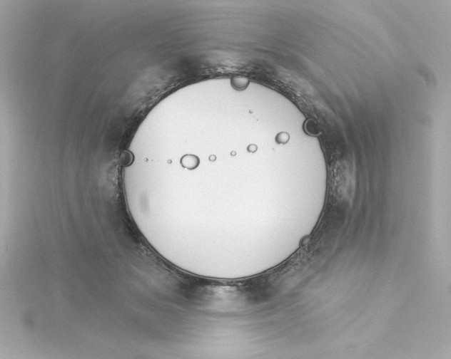 X0000115270509200911271948